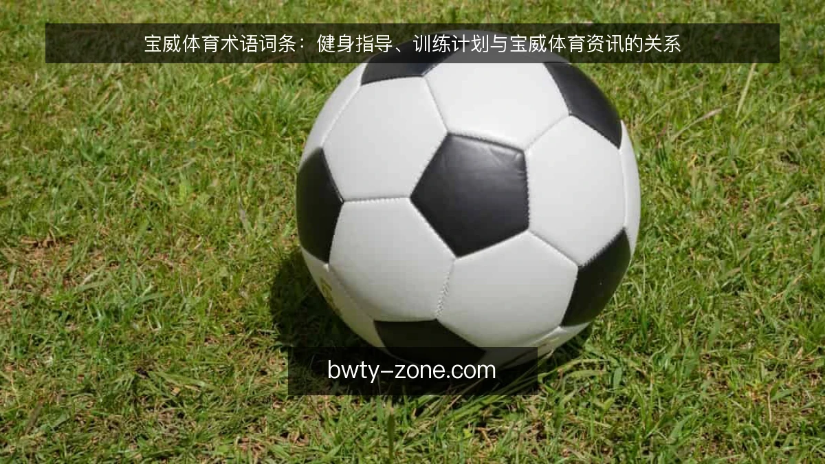 宝威体育术语词条:健身指导、训练计划与宝威体育资讯的关系